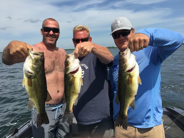 Listing image 198761