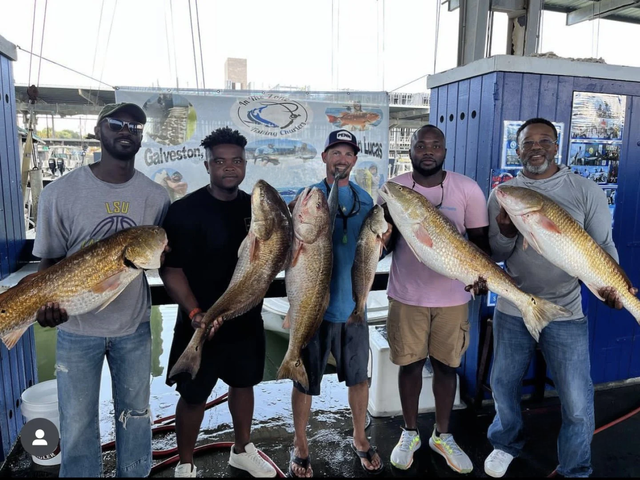 Listing image 940989