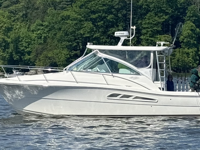 Listing image 1155105