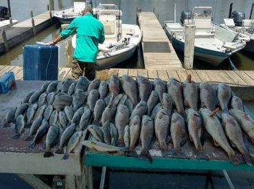 Jean Lafitte Harbor Charters – 30' thumbnail