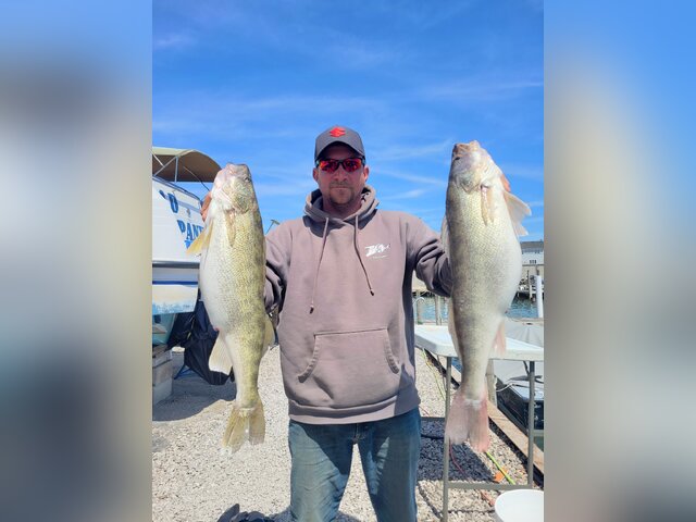 Listing image 1126342