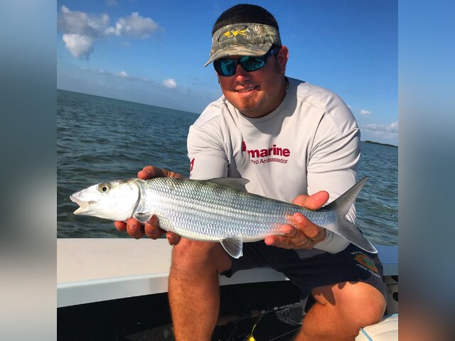 Listing image 200688