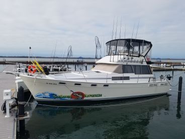 Charter Image