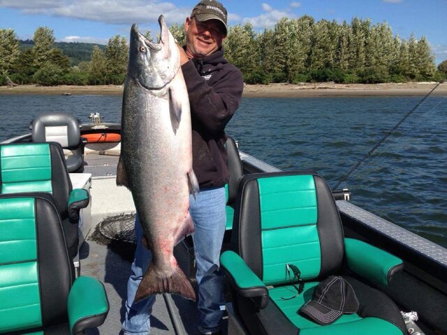 Listing image 203779