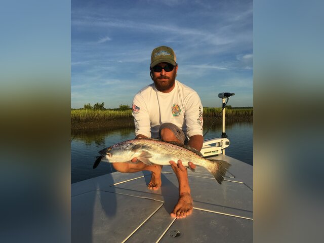 Listing image 203785