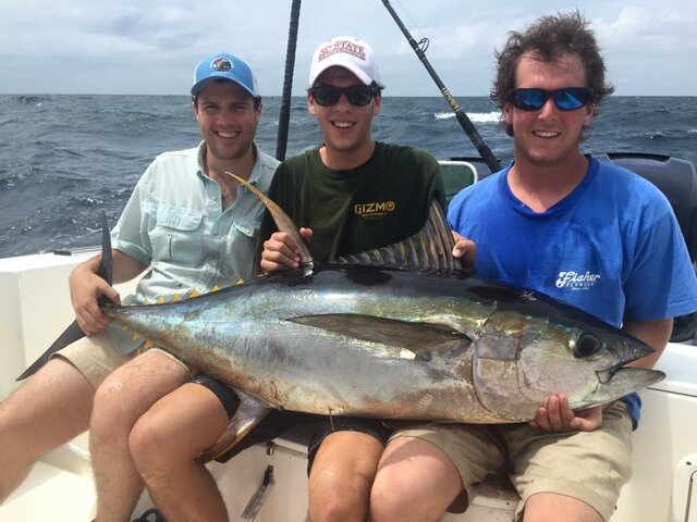 Listing image 203989