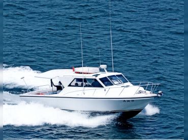 A&B Deep Sea Fishing Charters – Naples thumbnail