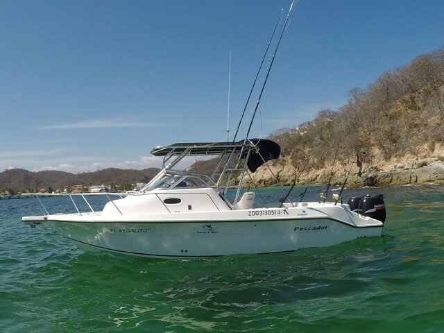 Listing image 205278