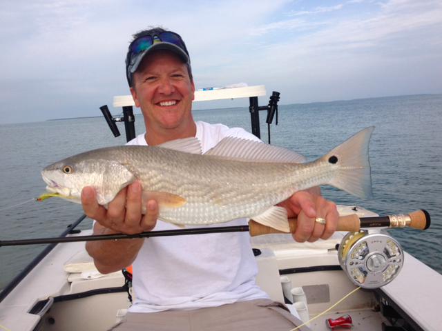 Listing image 209238