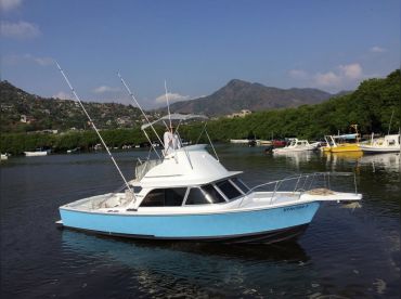 Wences Team - Champagne II