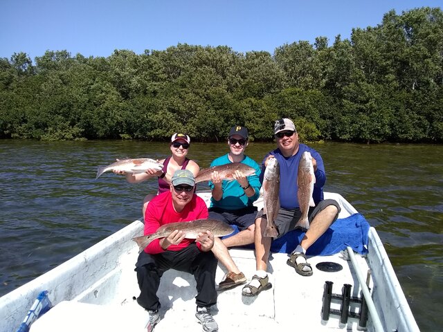 Listing image 220252