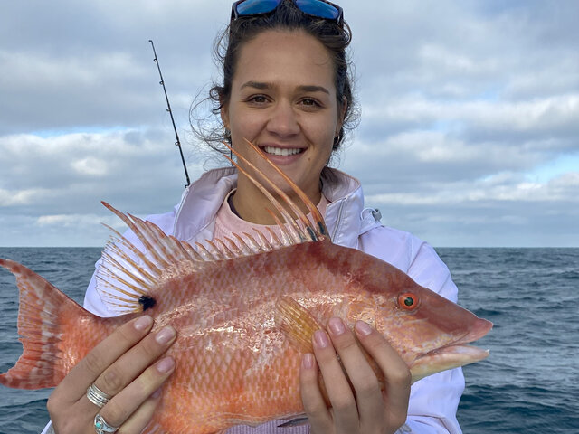 Listing image 620272