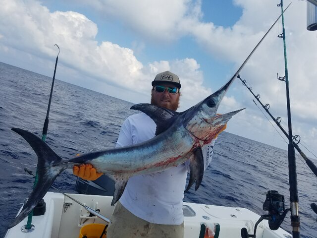 Listing image 210948