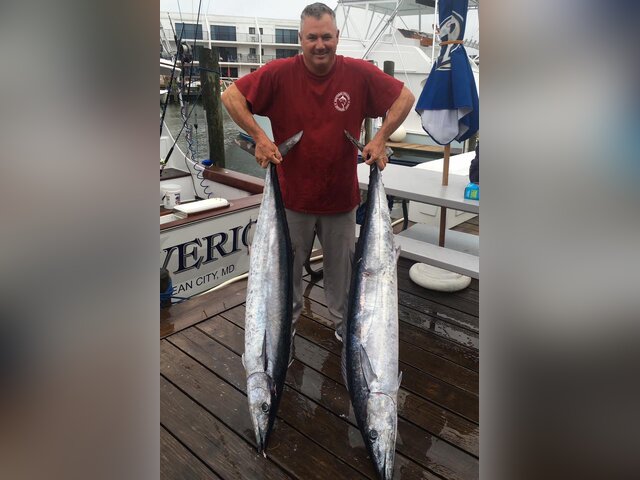 Listing image 211209