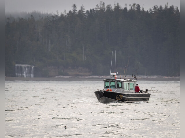 Listing image 956702