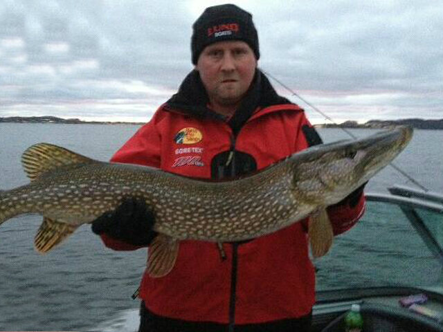 Listing image 248197