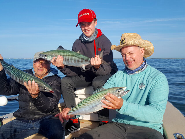 Listing image 214460