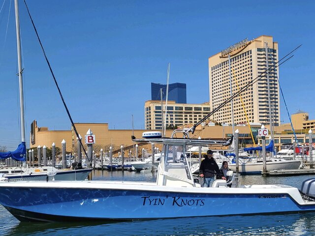 Listing image 554806