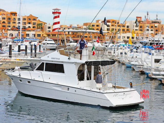 Listing image 560271