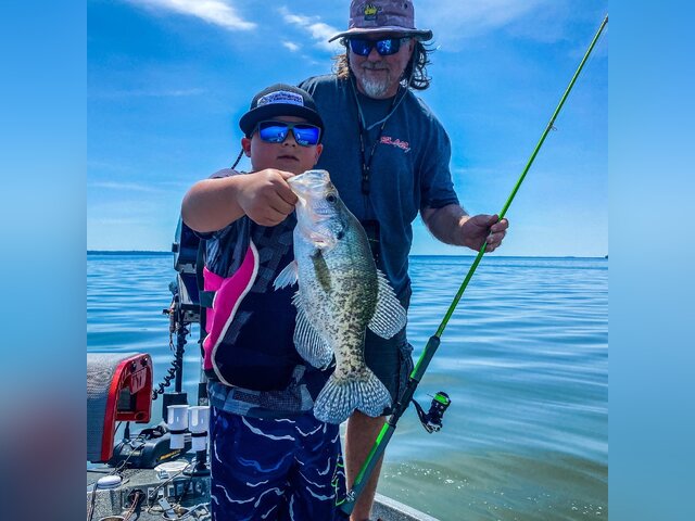 Listing image 651695