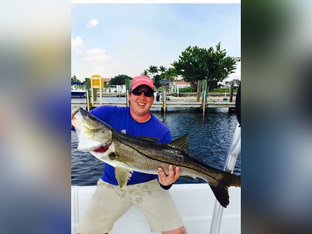 Listing image 214977