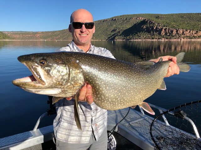 Listing image 245072