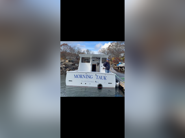 Listing image 1285891