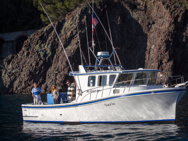 Listing image 215956