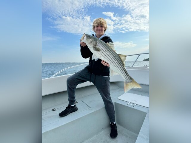 Listing image 1087400