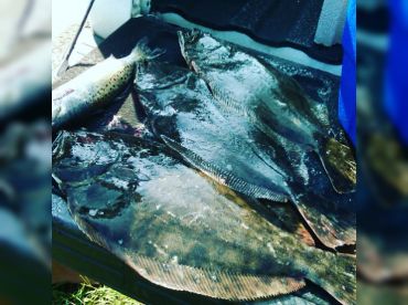 Duck Hunter thumbnail