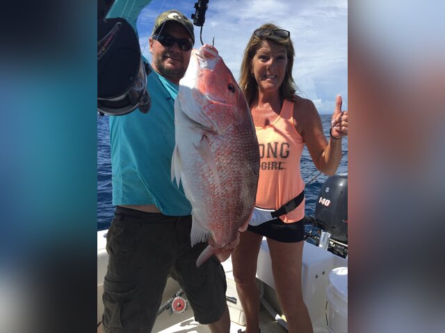 Listing image 221386