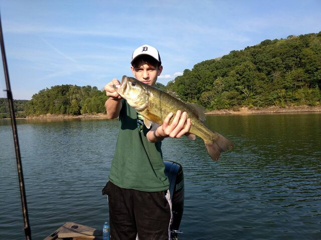 Listing image 222507