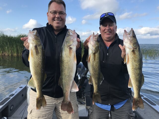 Listing image 222833