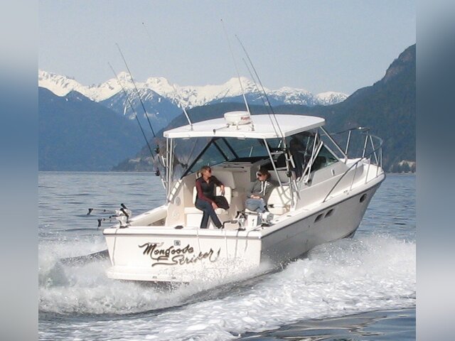 Listing image 236934