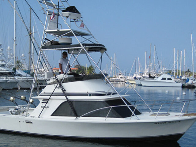 Listing image 433763