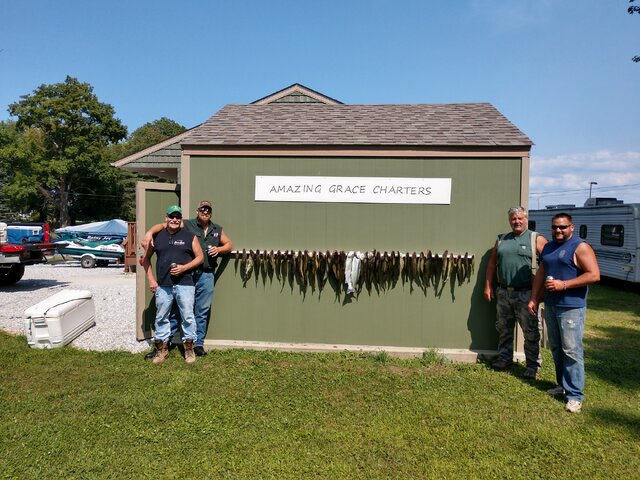 Listing image 229719