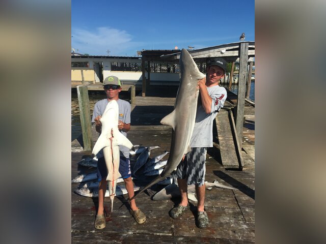 Listing image 230565