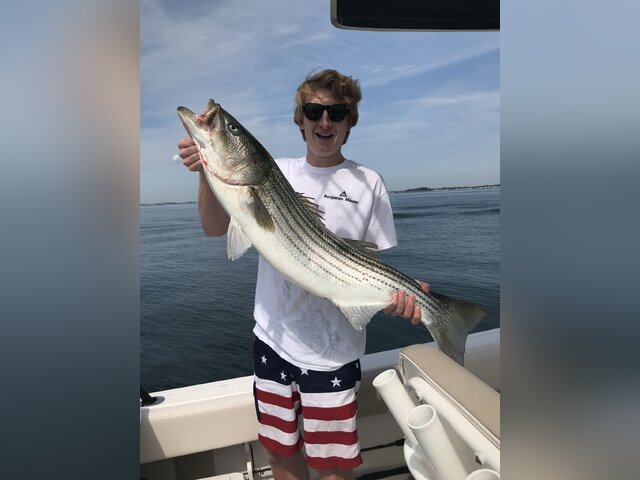 Listing image 339873