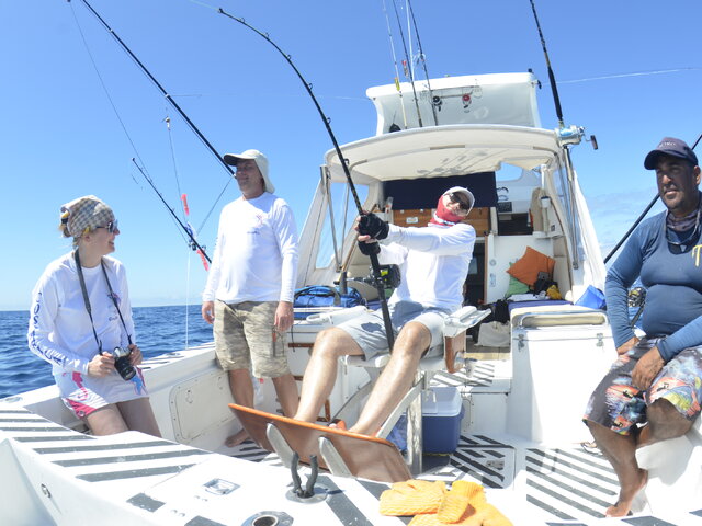 Listing image 239993