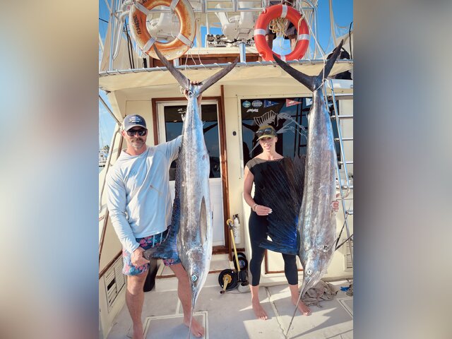 Listing image 1265801