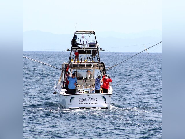 Listing image 526229