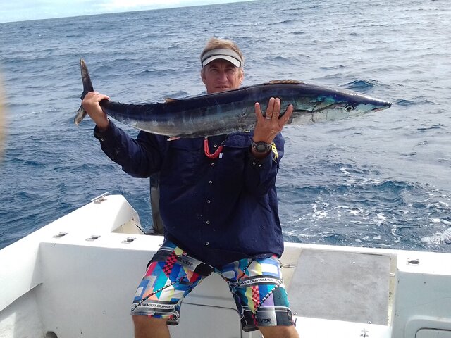 Listing image 238755