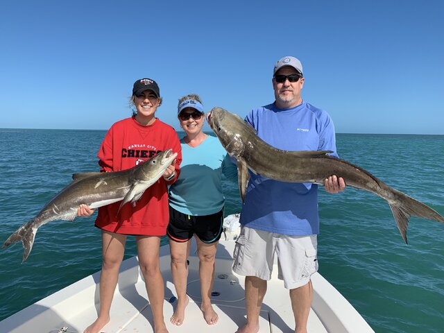 Listing image 853397