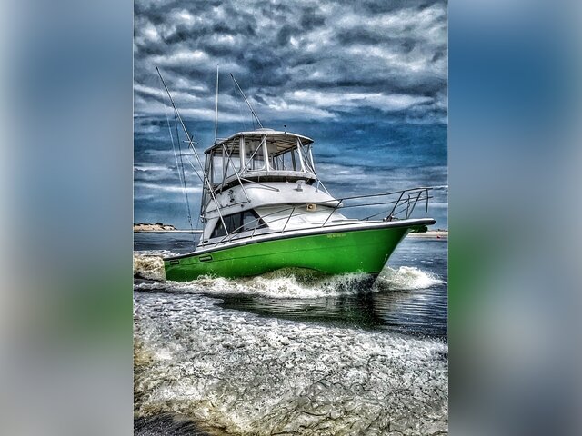 Listing image 733787