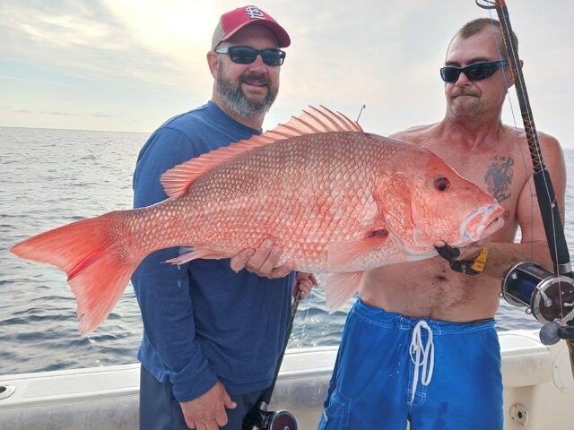 Listing image 870010