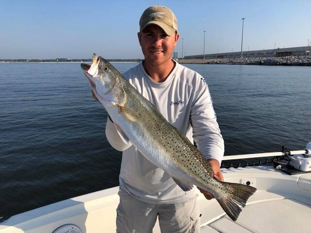 Listing image 246864