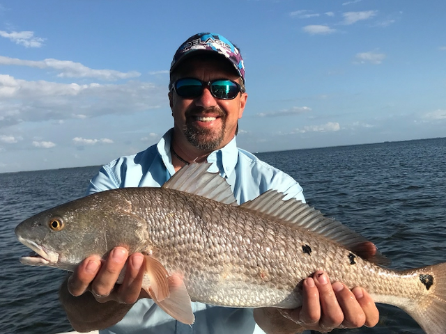 Listing image 246980