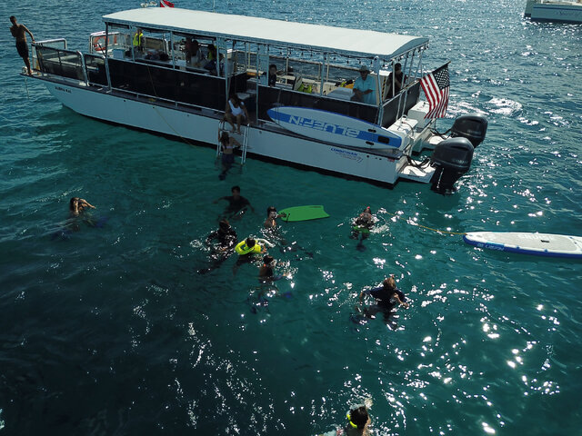 Listing image 461415