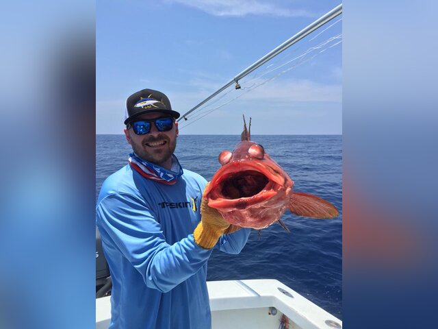 Listing image 250458