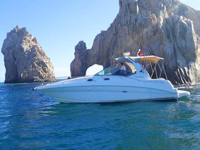 Listing image 255457